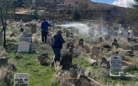 Yaprakhisar Köy Mezarlığında İlaçlama Çalışması Gerçekleştirildi